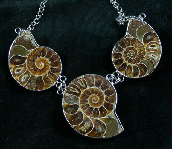 Triple Ammonite Necklace - Million Years Old #7903